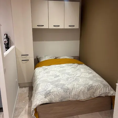 Apartamento Charmant Appartement Nancy