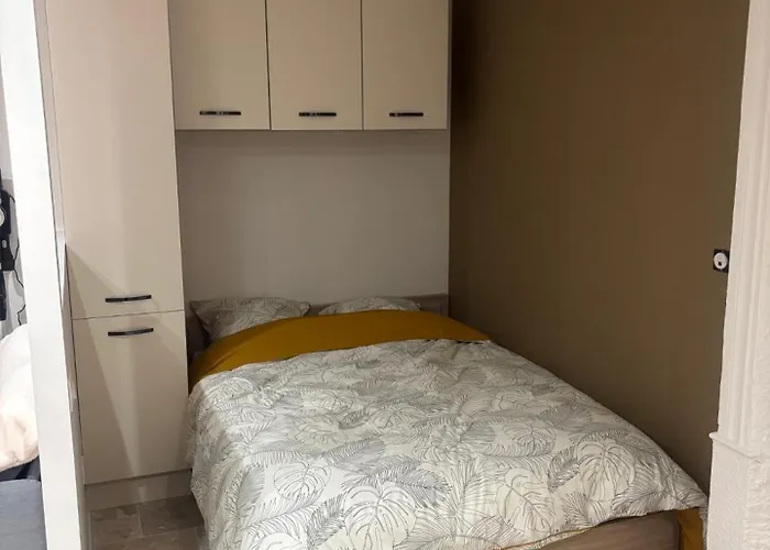 Apartamento Charmant Appartement Nancy