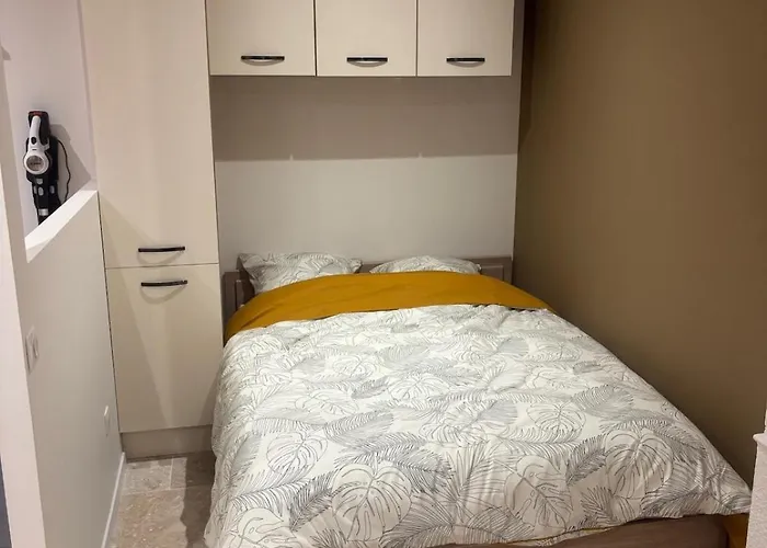 Apartamento Charmant Appartement Nancy