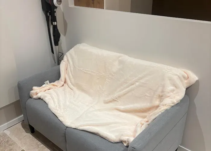 Charmant Appartement Nancy